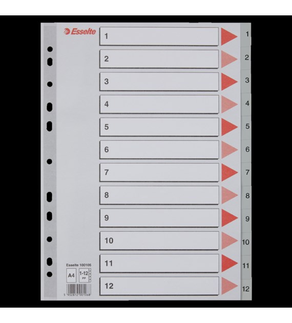 Przekładki plastikowe szare PP A4 1-12 100106 numeryczne ESSELTE