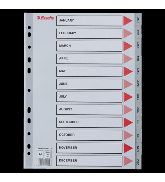 Przekładki plastikowe szare PP A4 12 miesięcy 100114 numeryczne ESSELTE