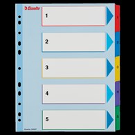 Przekładki kartonowe MYLAR A4 MAXI 1-5 ESSELTE 100207