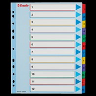 Przekładki kartonowe MYLAR A4 MAXI 1-12 ESSELTE 100209