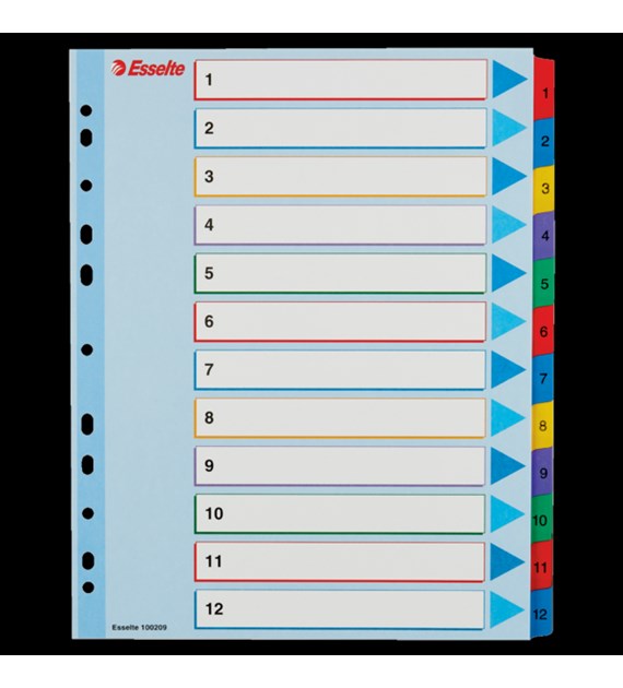 Przekładki kartonowe MYLAR A4 MAXI 1-12 ESSELTE 100209