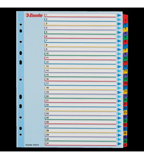 Przekładki kartonowe MYLAR A4 MAXI 1-31 ESSELTE 100210