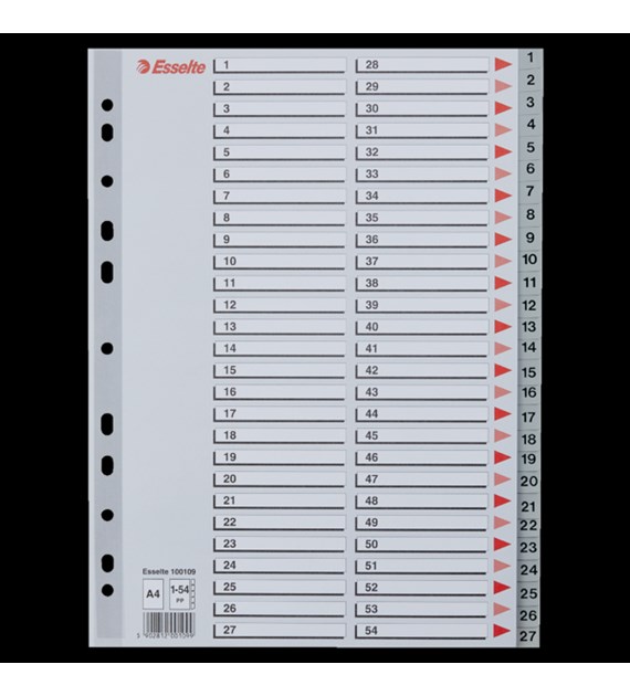 Przekładki plastikowe numeryczne A4 1-54 szare ESSELTE 100109