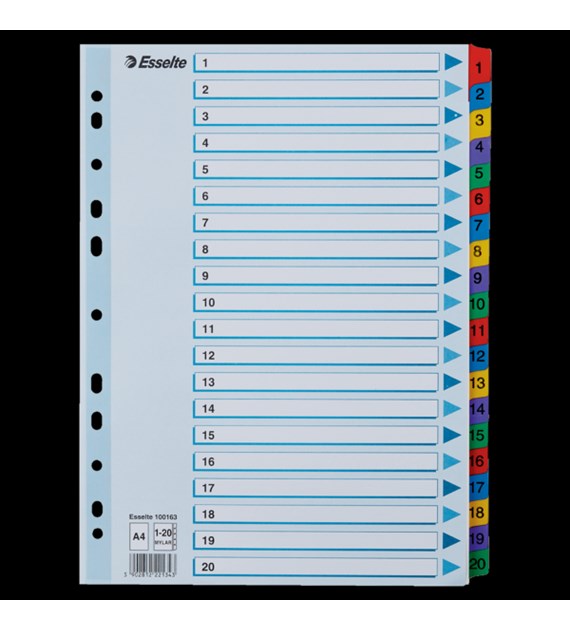 Przekładki kartonowe MYLAR A4 1-20 100163 białe ESSELTE