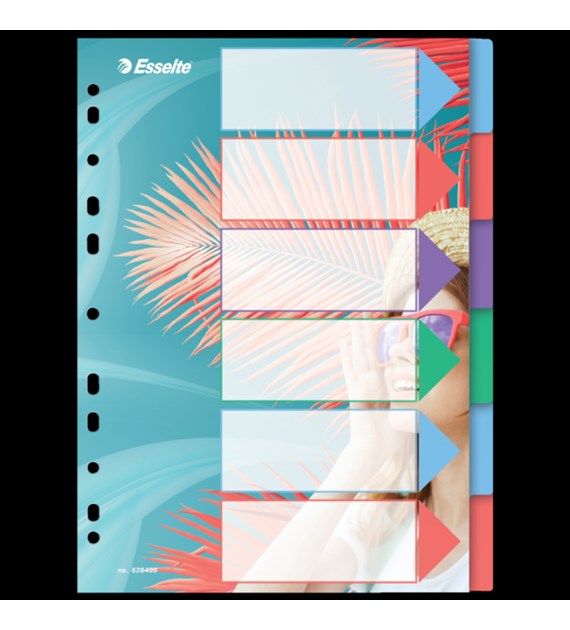 Przekładki ColourBreeze PP A4, 6 przekładek Esselte 628499