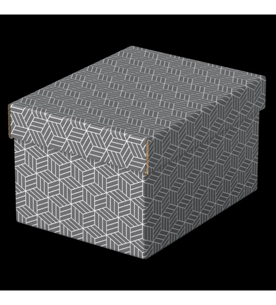 Pudełka domowe do przechowywania, rozmiar S, 3 sztuki, szare Esselte 628281